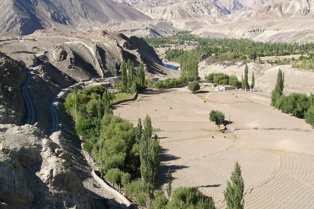 Alchi village and fields along the Indus