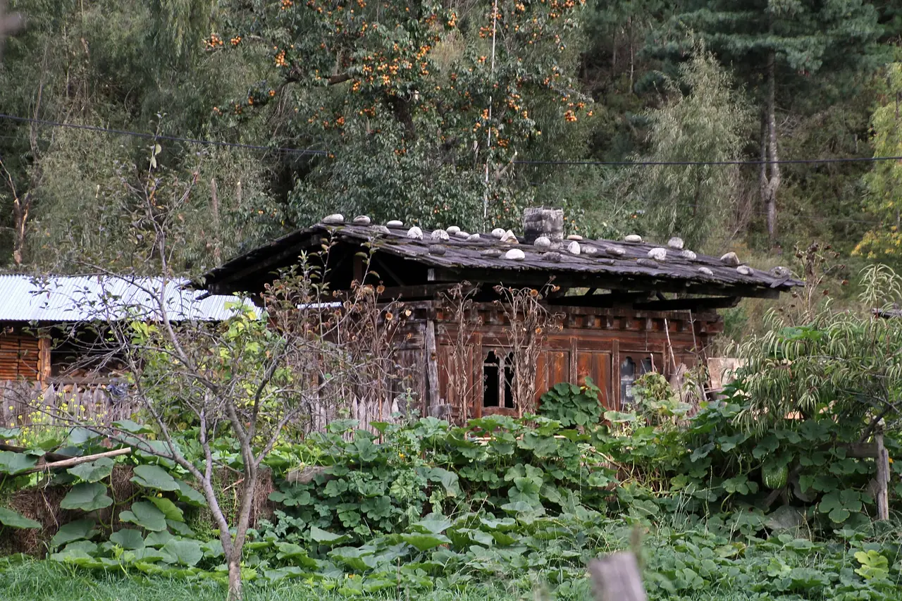 A traditional farmhouse in Bumthang, Bhutan