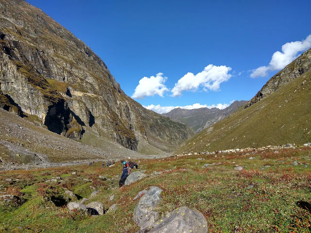 Meadows on the Kullu side of Hampta Pass