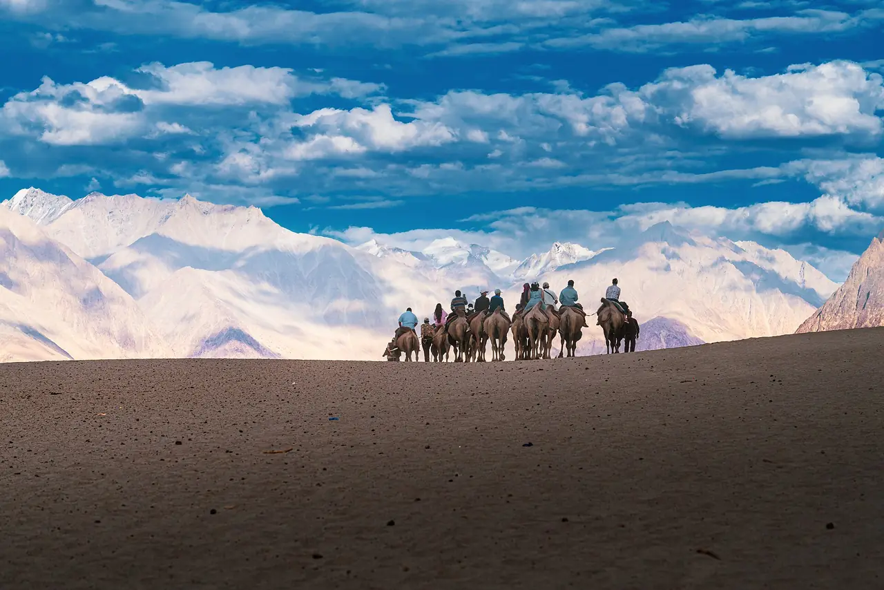 Bactrian camel caravan crossing the Nubra valley