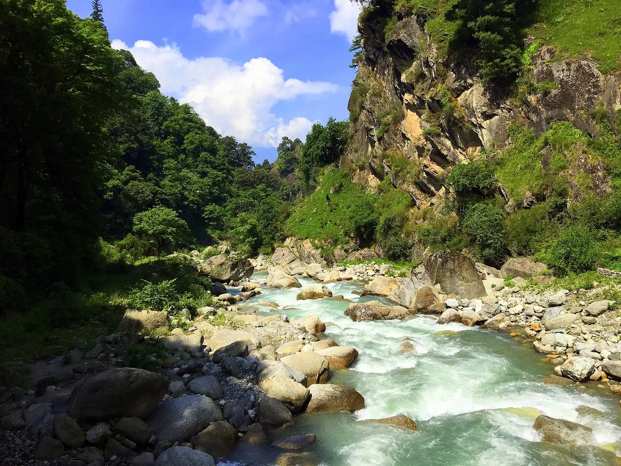 The Tirthan river running through forest